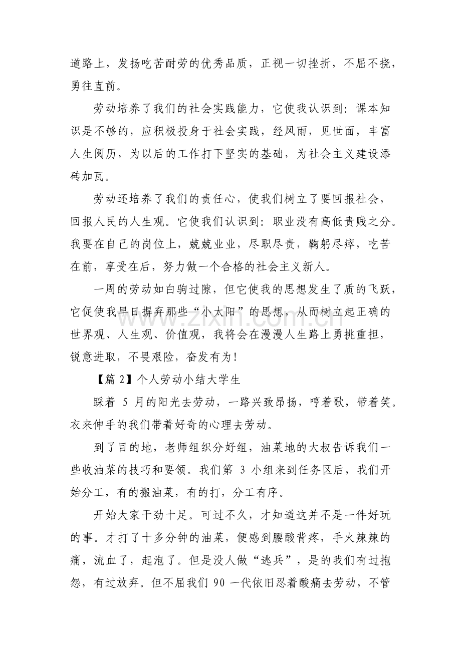 个人劳动小结大学生范文(精选6篇).pdf_第2页