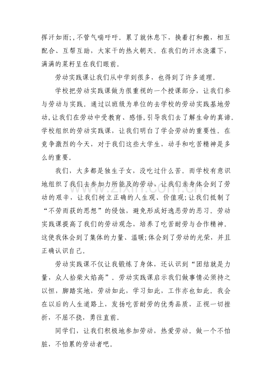 个人劳动小结大学生范文(精选6篇).pdf_第3页