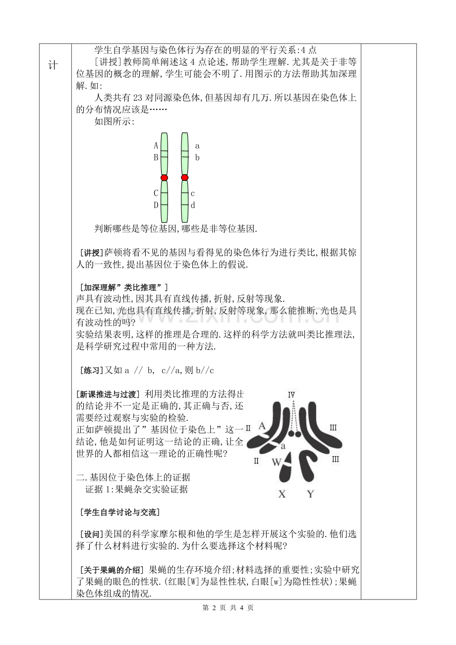 基因在染色体上的教案.doc_第2页