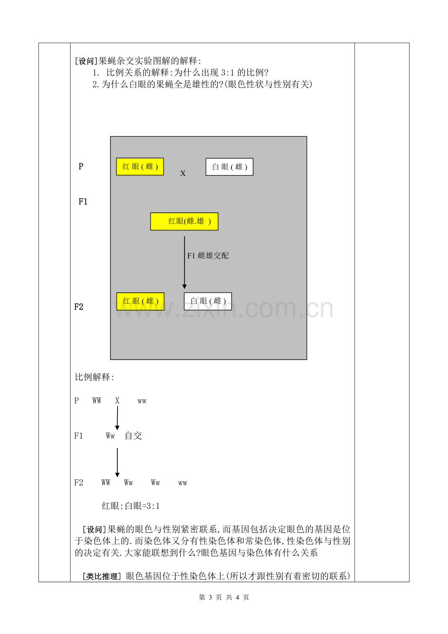 基因在染色体上的教案.doc_第3页