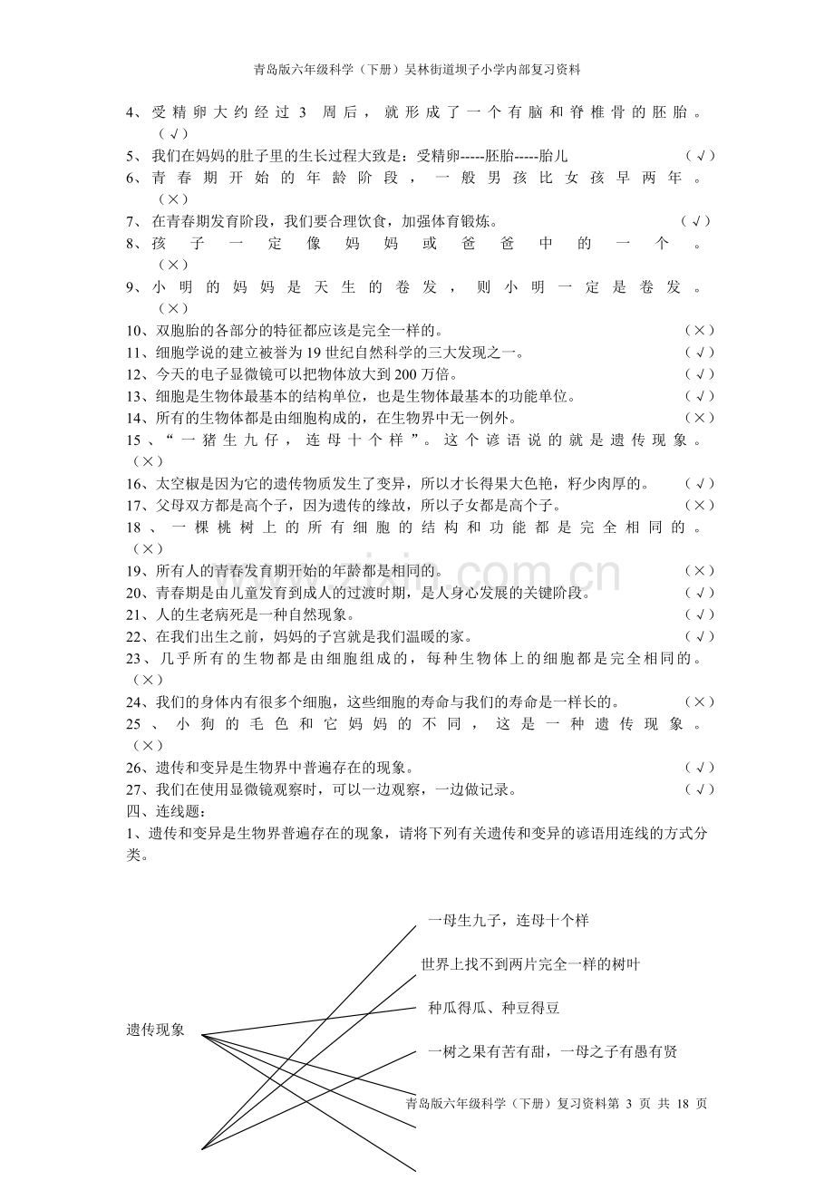 青岛版六年级科学下册复习题汇编.doc_第3页