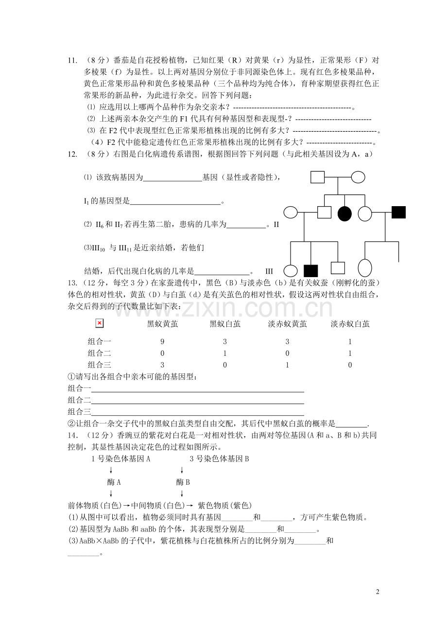 遗传基础练习题一.doc_第2页