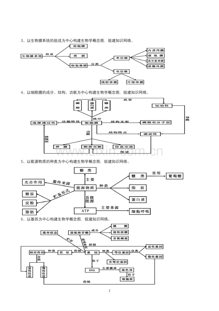 高中生物概念图总汇.doc_第2页