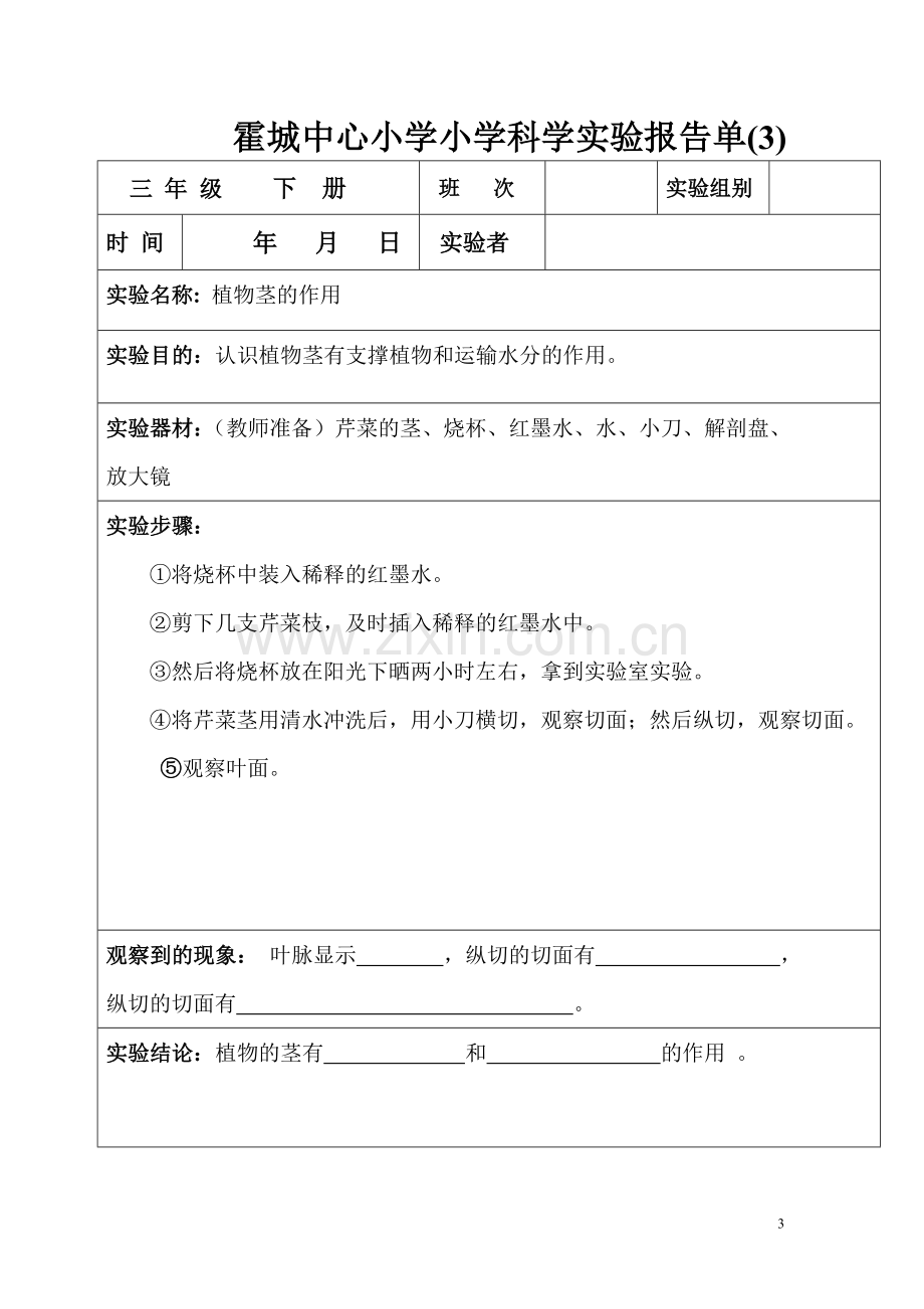 教科版三年级下册科学实验报告单.doc_第3页