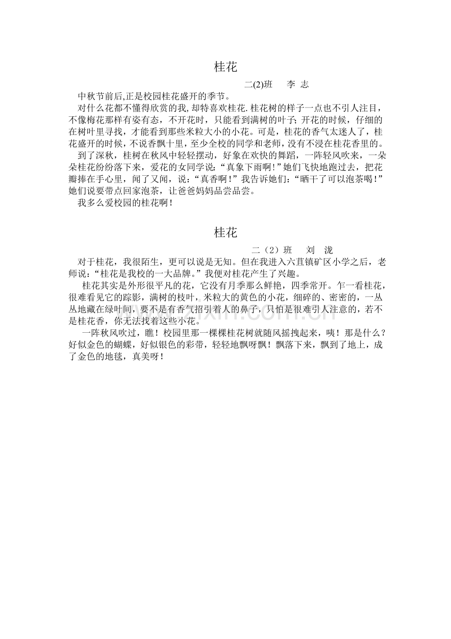 桂花（二年级桂花习作）.doc_第1页