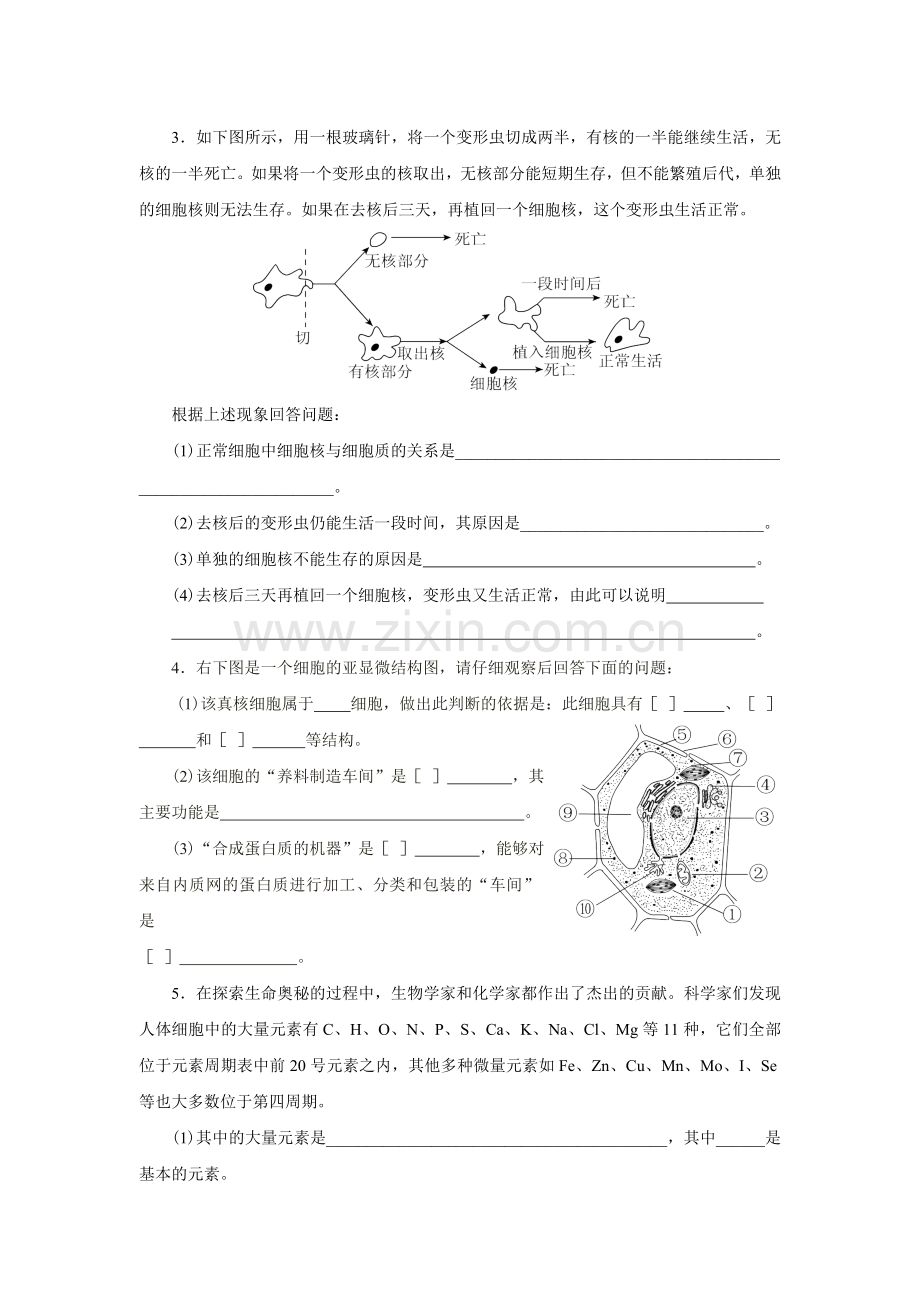 新课标人教版高中生物必修一分子与细胞教科书配套试题：期中测试题(word版含答案解析）.doc_第3页