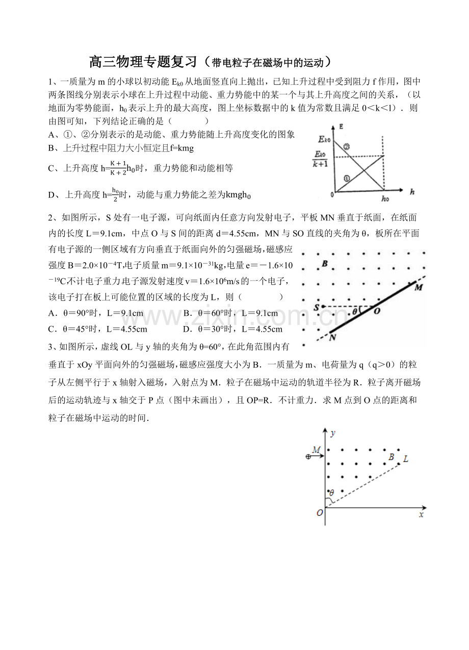 高中物理专题复习（带电粒子在磁场中的运动）.docx_第1页