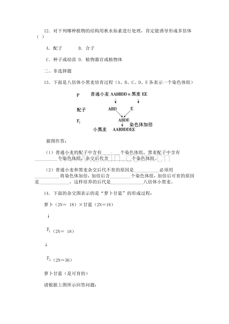 高中生物染色体变异练习题二.doc_第3页