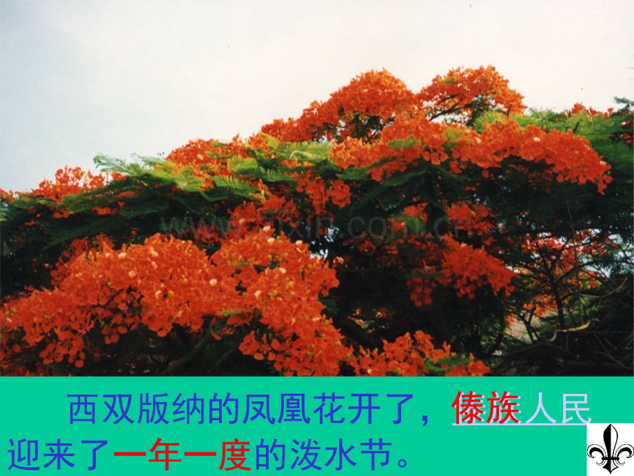 《欢乐的泼水节》课件.ppt_第3页