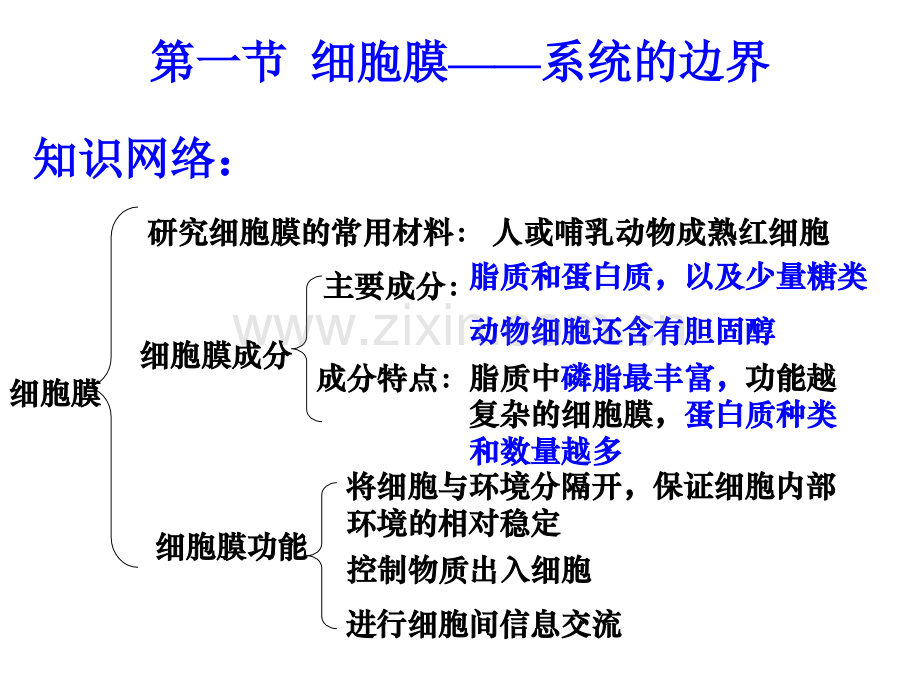 第三章细胞的基本结构复习.ppt_第2页