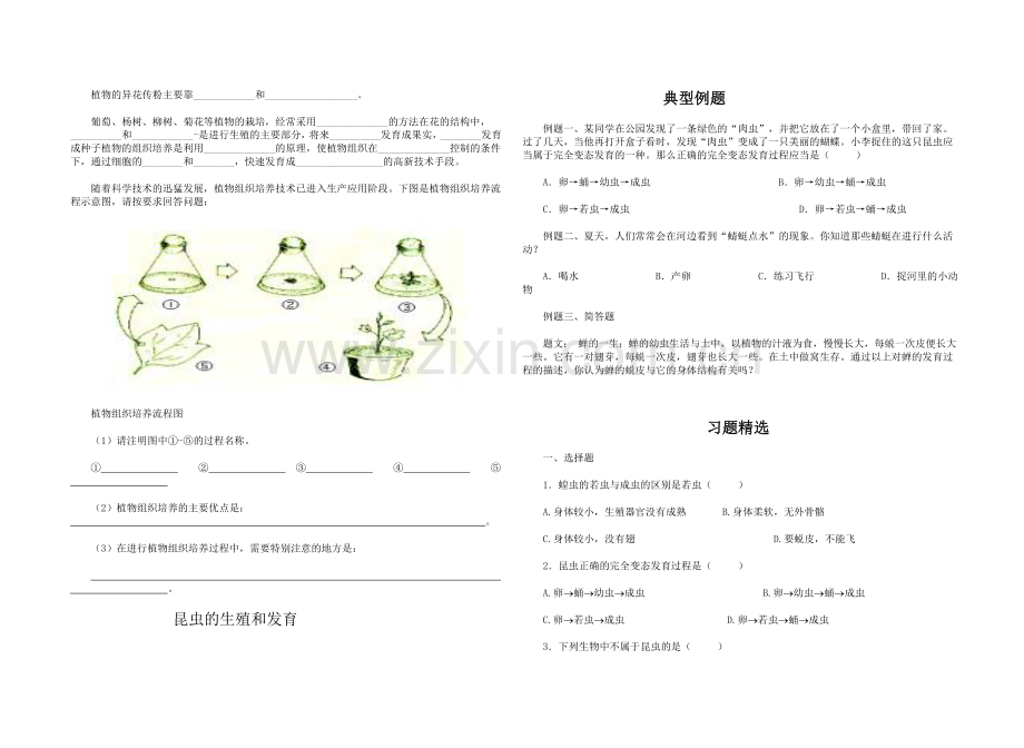 第一章生物的生殖和发育.doc_第2页