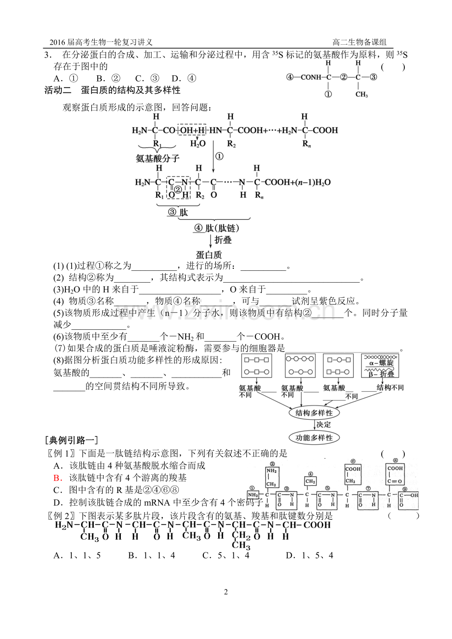 生命活动的承担者——蛋白质.doc_第2页