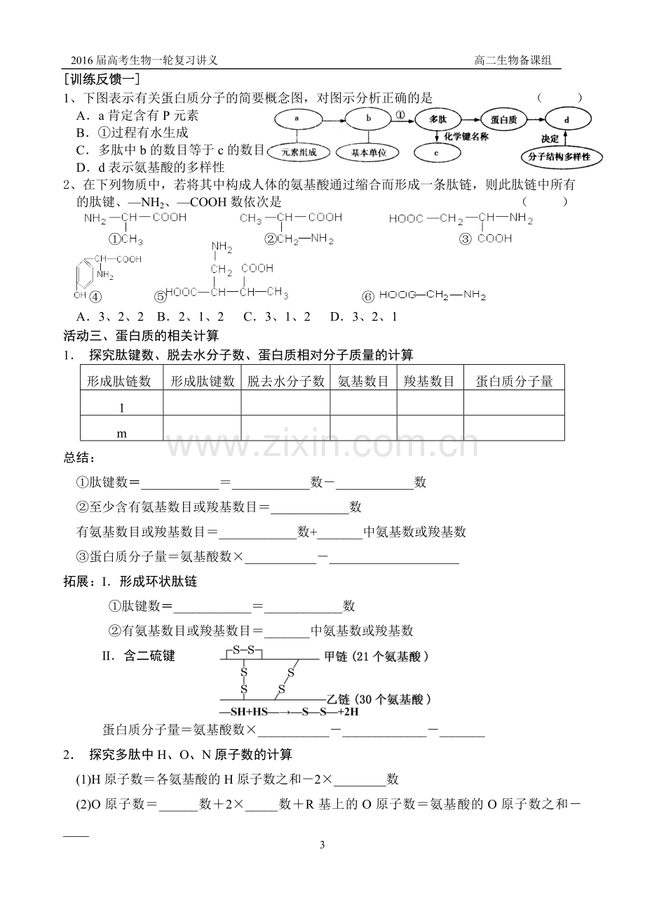 生命活动的承担者——蛋白质.doc_第3页