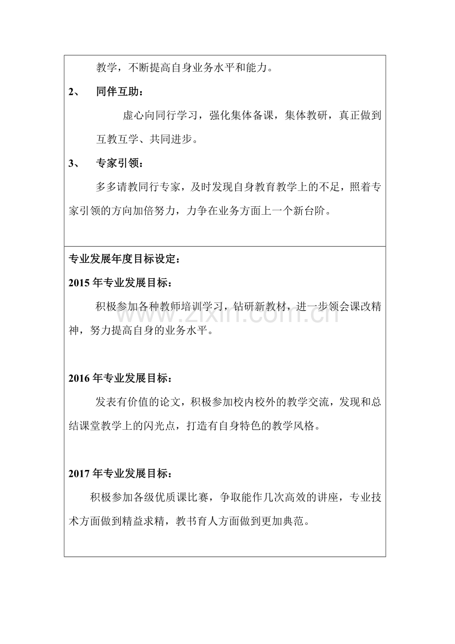 王业佳---遵义四中教师专业发展规划书.doc_第2页