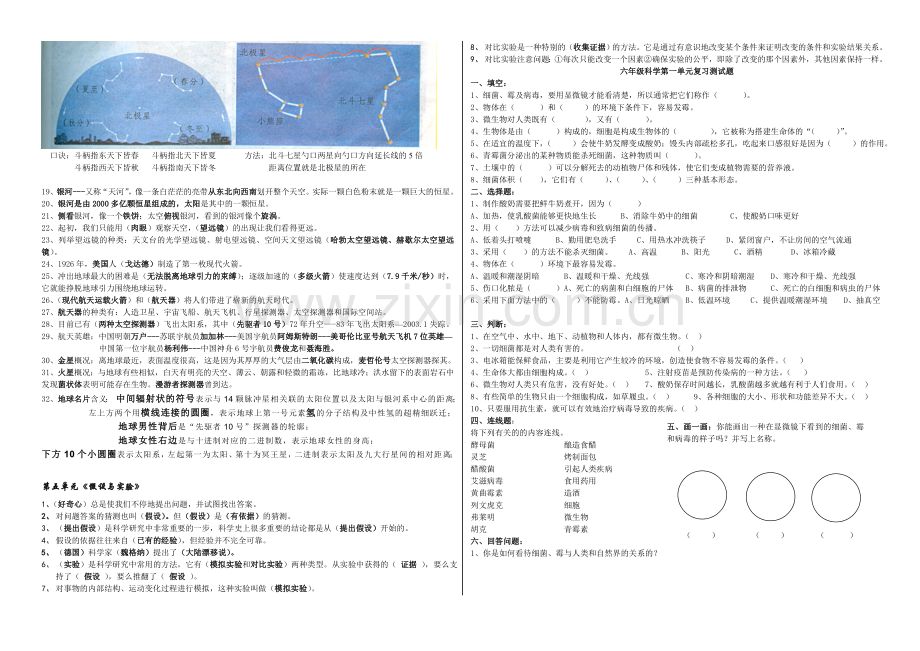 苏教版六年级科学(上)复习提纲.doc_第3页