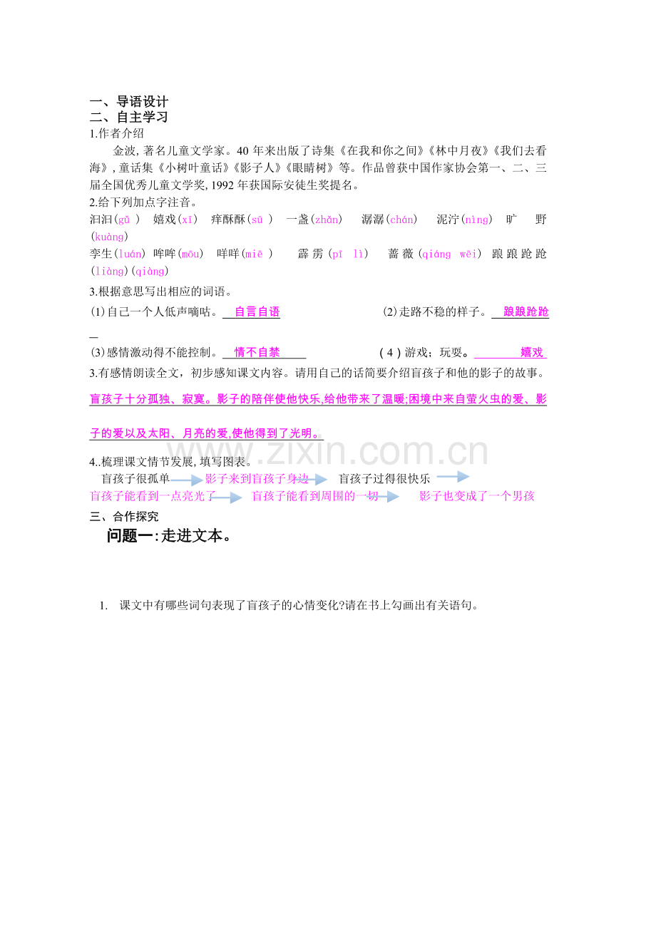 盲孩子和他的影子导学案（教师版）.doc_第2页