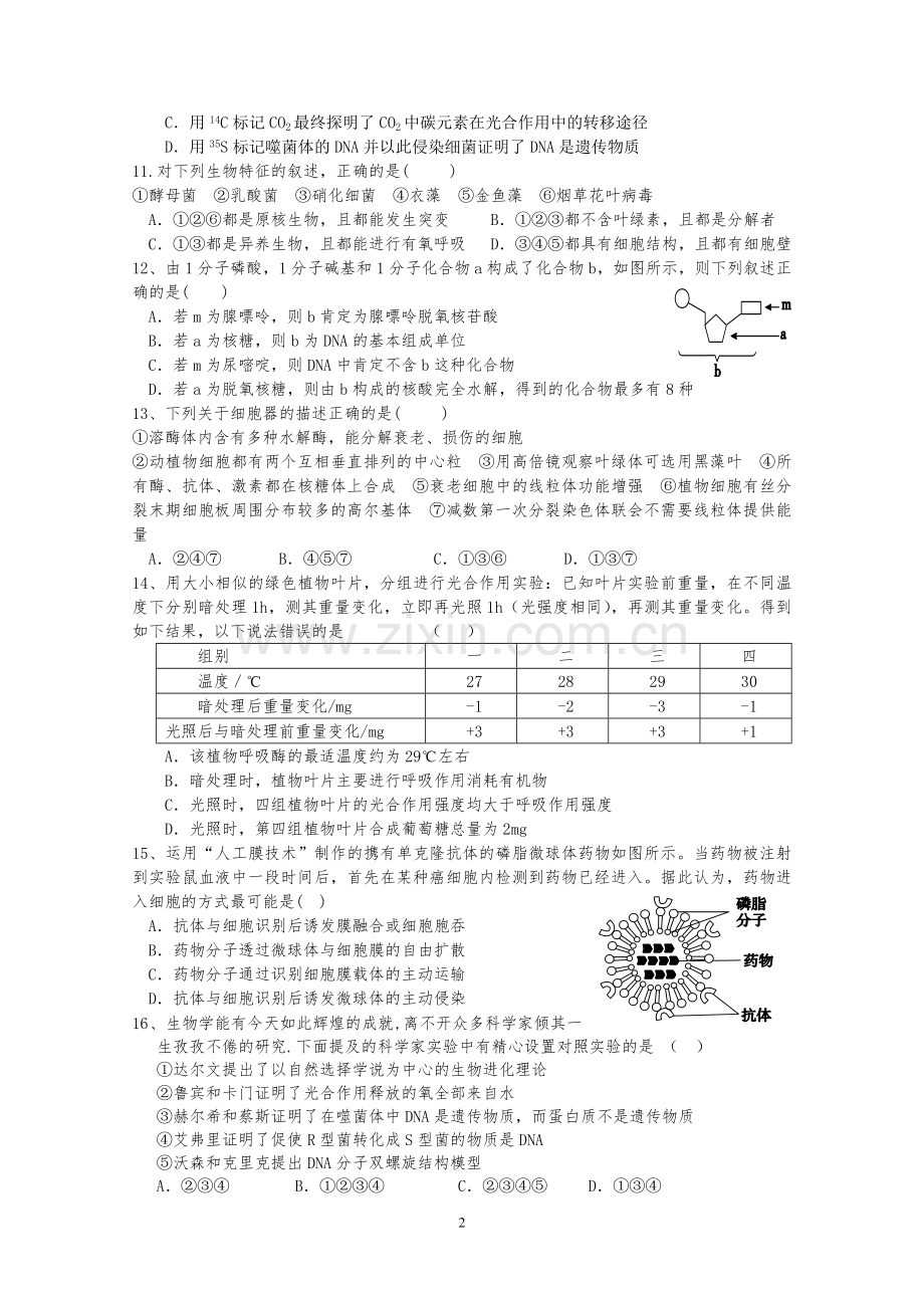 高三生物综合练习题.doc_第2页