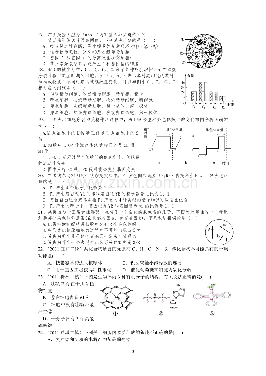 高三生物综合练习题.doc_第3页