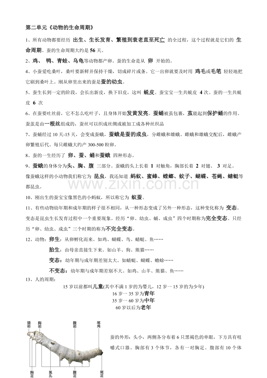 三年级科学下册复习资料.doc_第3页