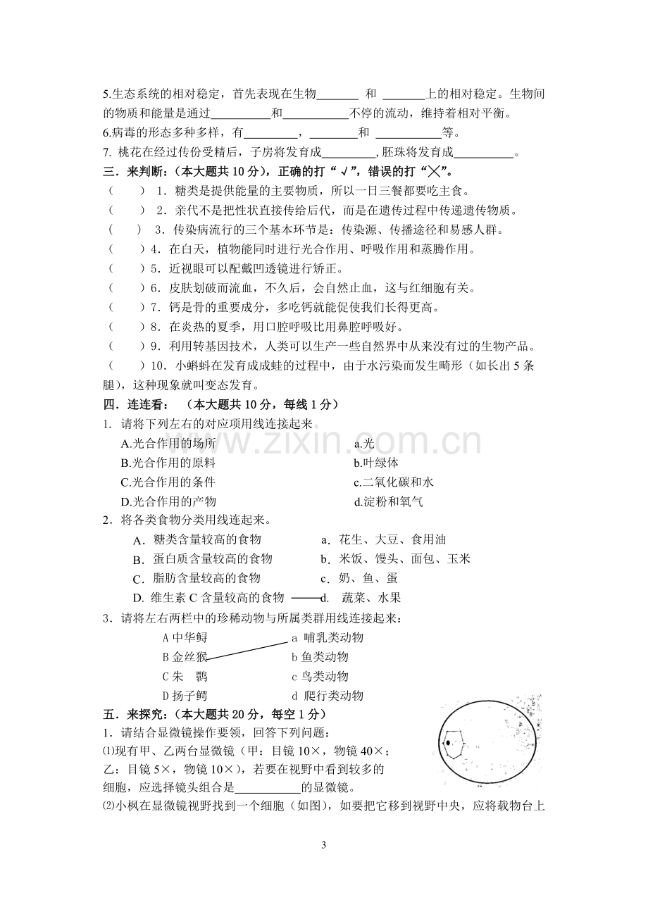 初中毕业升学考试生物模拟试卷.doc_第3页