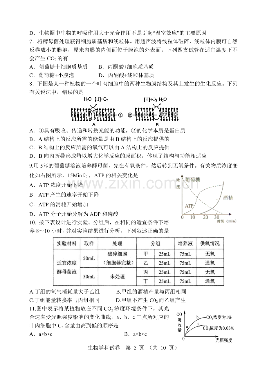 细胞呼吸与光合作用.doc_第2页