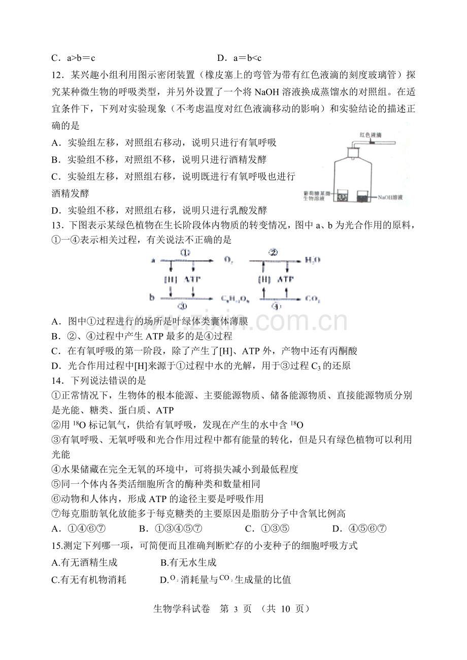 细胞呼吸与光合作用.doc_第3页