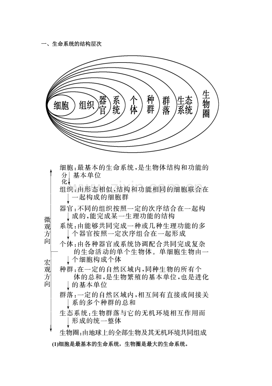 考点一细胞和组成细胞的分子.doc_第2页