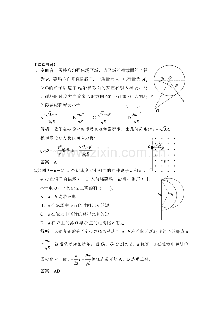 专题复习：磁场.doc_第2页