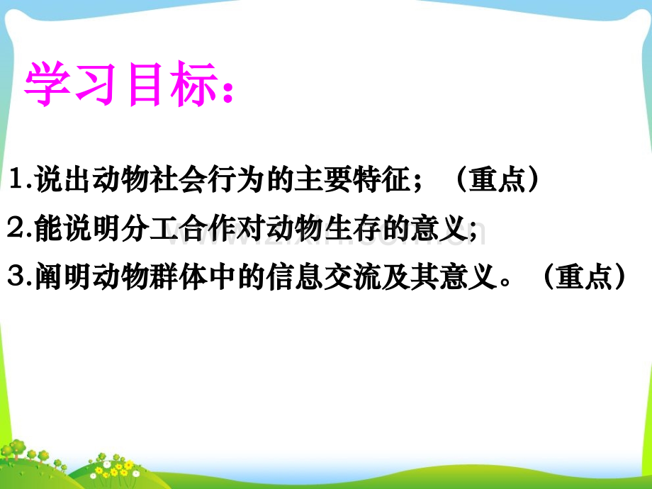 第三节社会行为.ppt_第2页