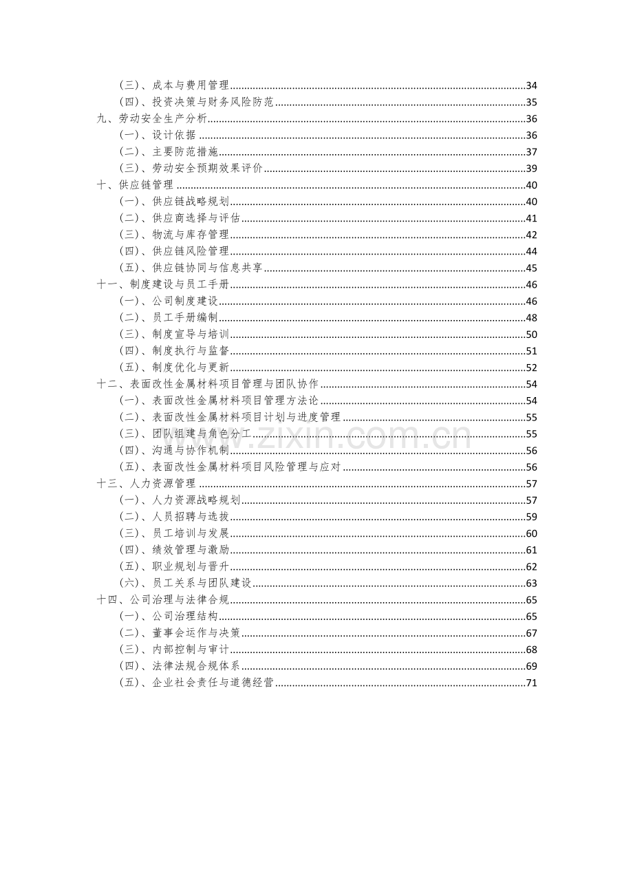 表面改性金属材料项目可行性研究报告.docx_第3页