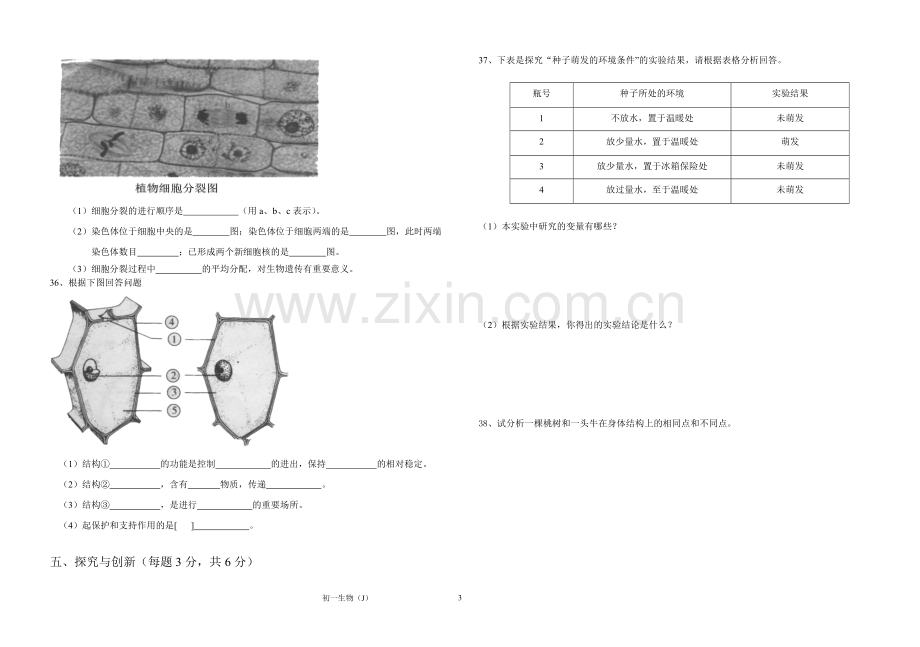 初一生物试卷.doc_第3页