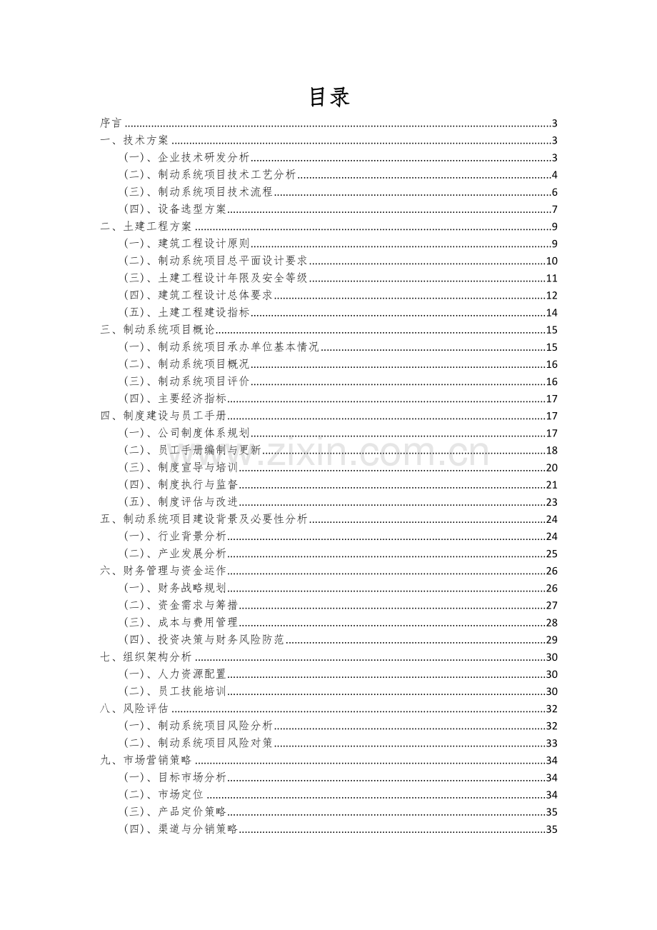 制动系统项目可行性研究报告.docx_第2页