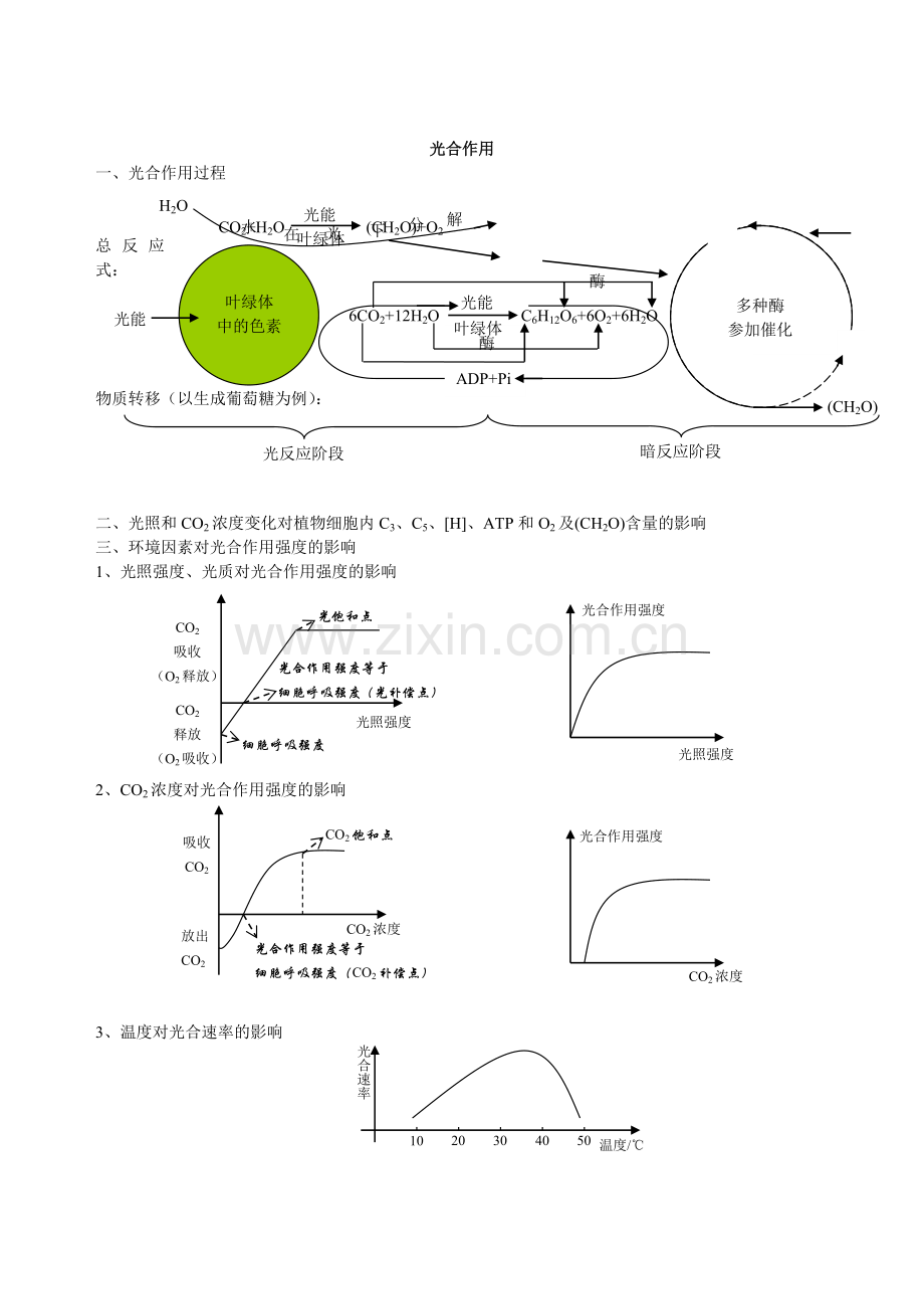 光合作用和呼吸作用.doc_第2页