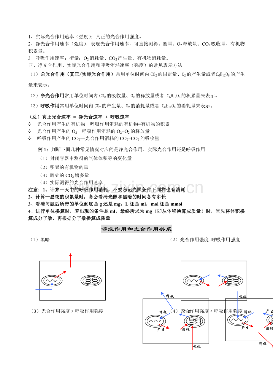 光合作用和呼吸作用.doc_第3页