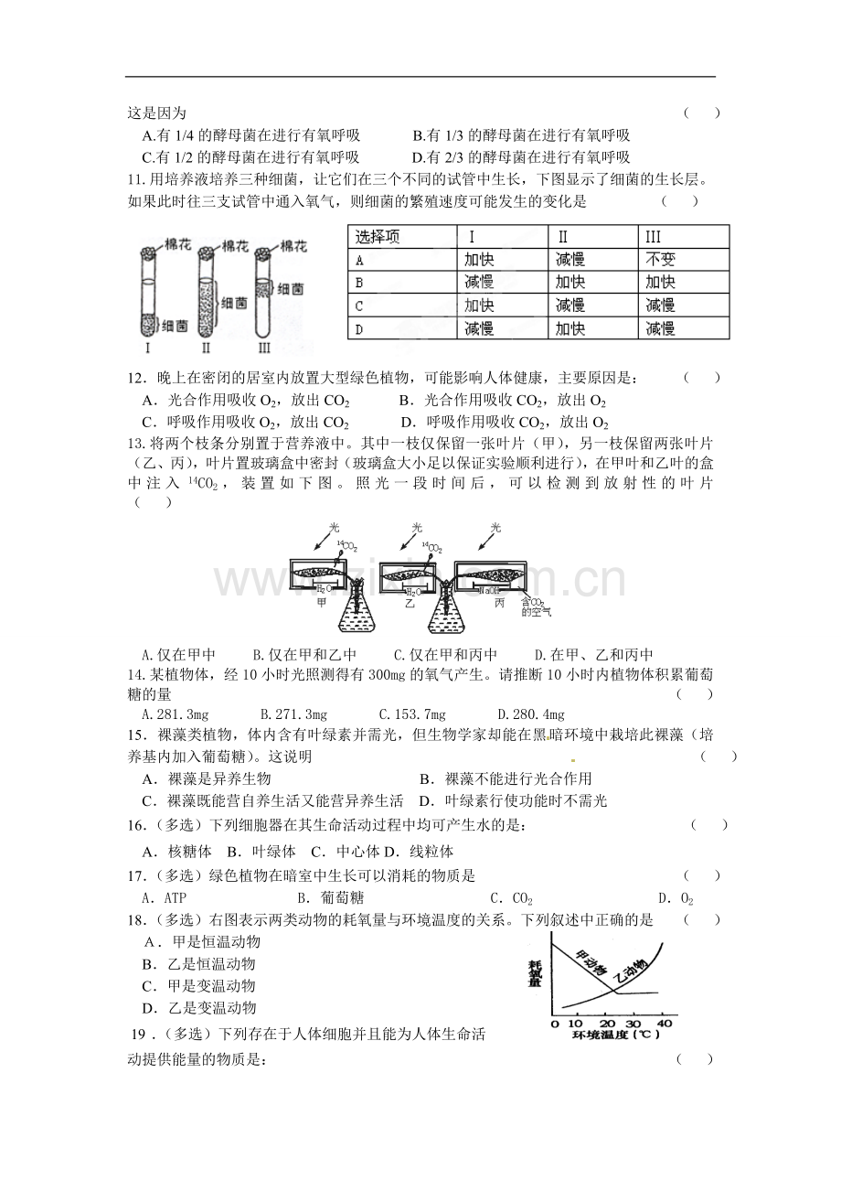 云南省开远四中高一生物第五章单元练习.doc_第2页