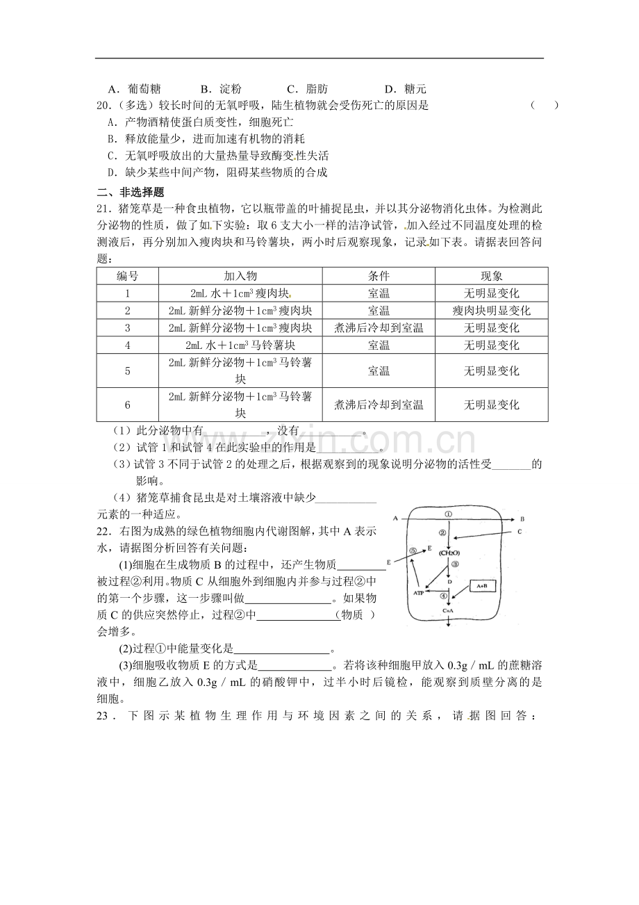 云南省开远四中高一生物第五章单元练习.doc_第3页