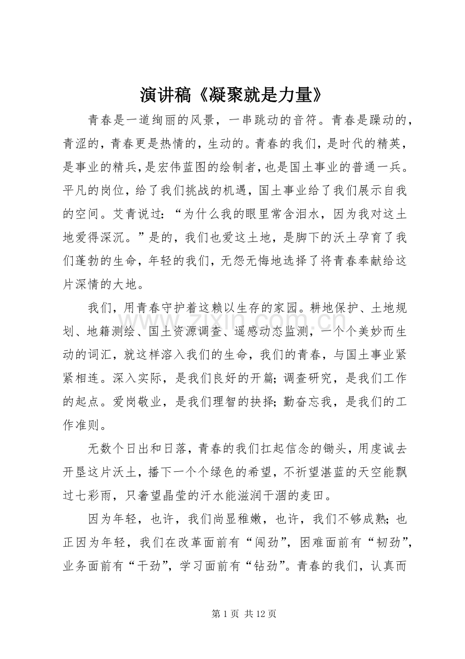 致辞演讲稿《凝聚就是力量》.docx_第1页