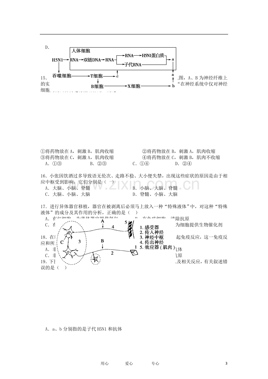 吉林省实验中学2012-2013学年高二生物上学期期中考试试题新人教版.doc_第3页