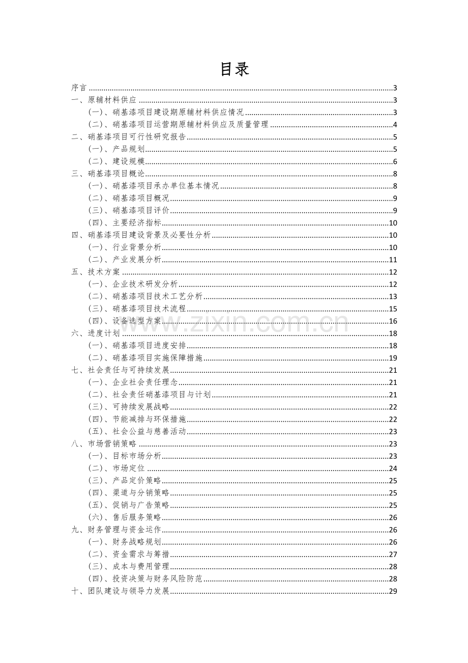 硝基漆项目可行性研究报告.docx_第2页