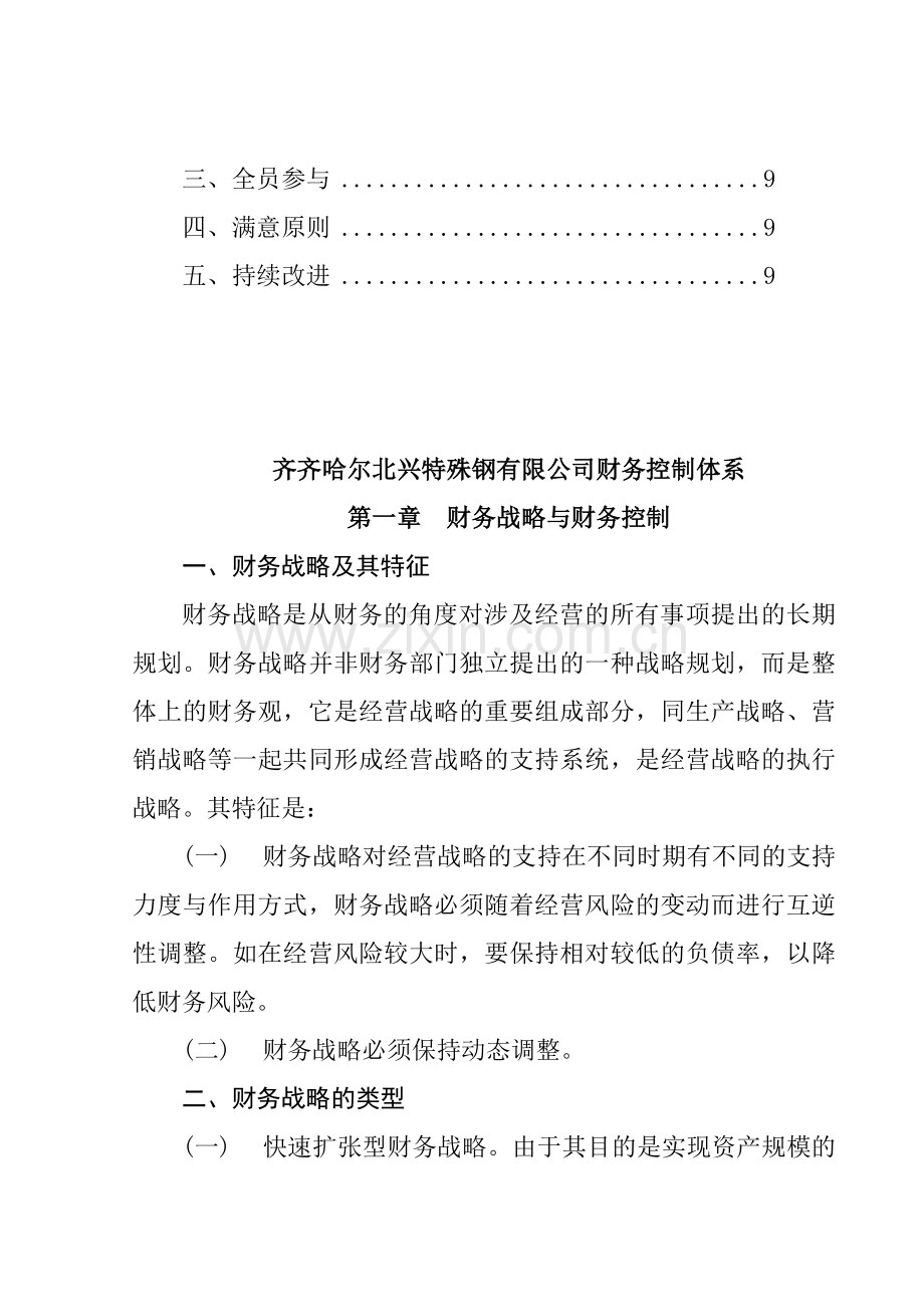 某公司财务战略与财务控制体系.docx_第2页