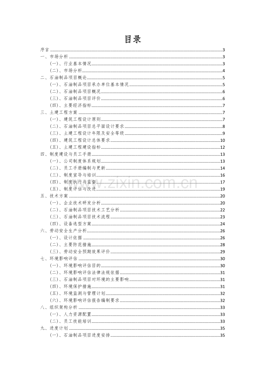 2024年石油制品项目可行性研究报告.docx_第2页