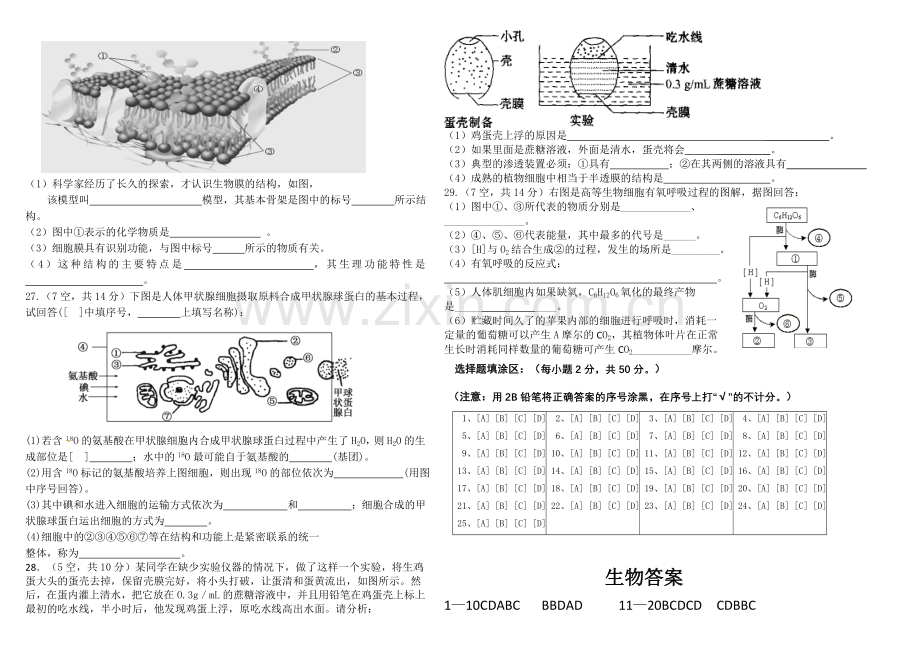 高一第一学期第二次月考试卷.doc_第3页