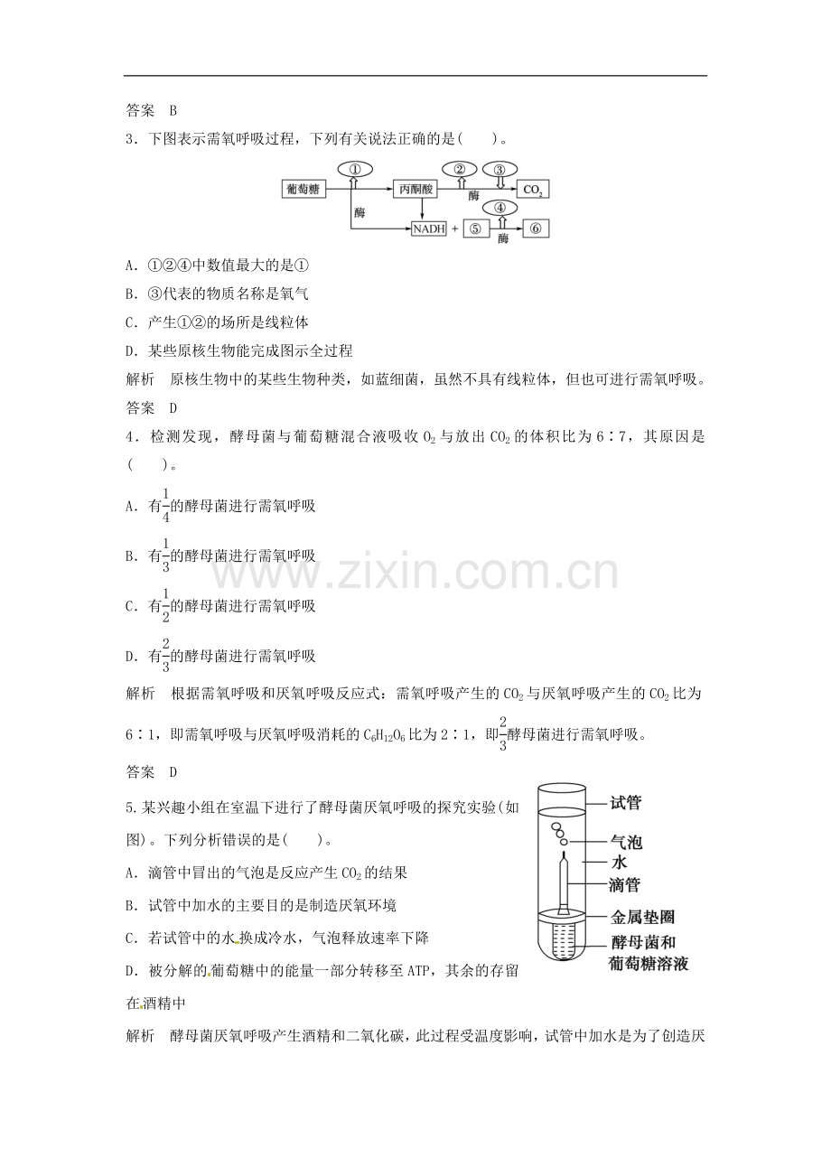 【创新设计】2013-2014学年高中生物-3-4-1需氧呼吸和厌氧呼吸同步练习-浙科版必修1.doc_第2页