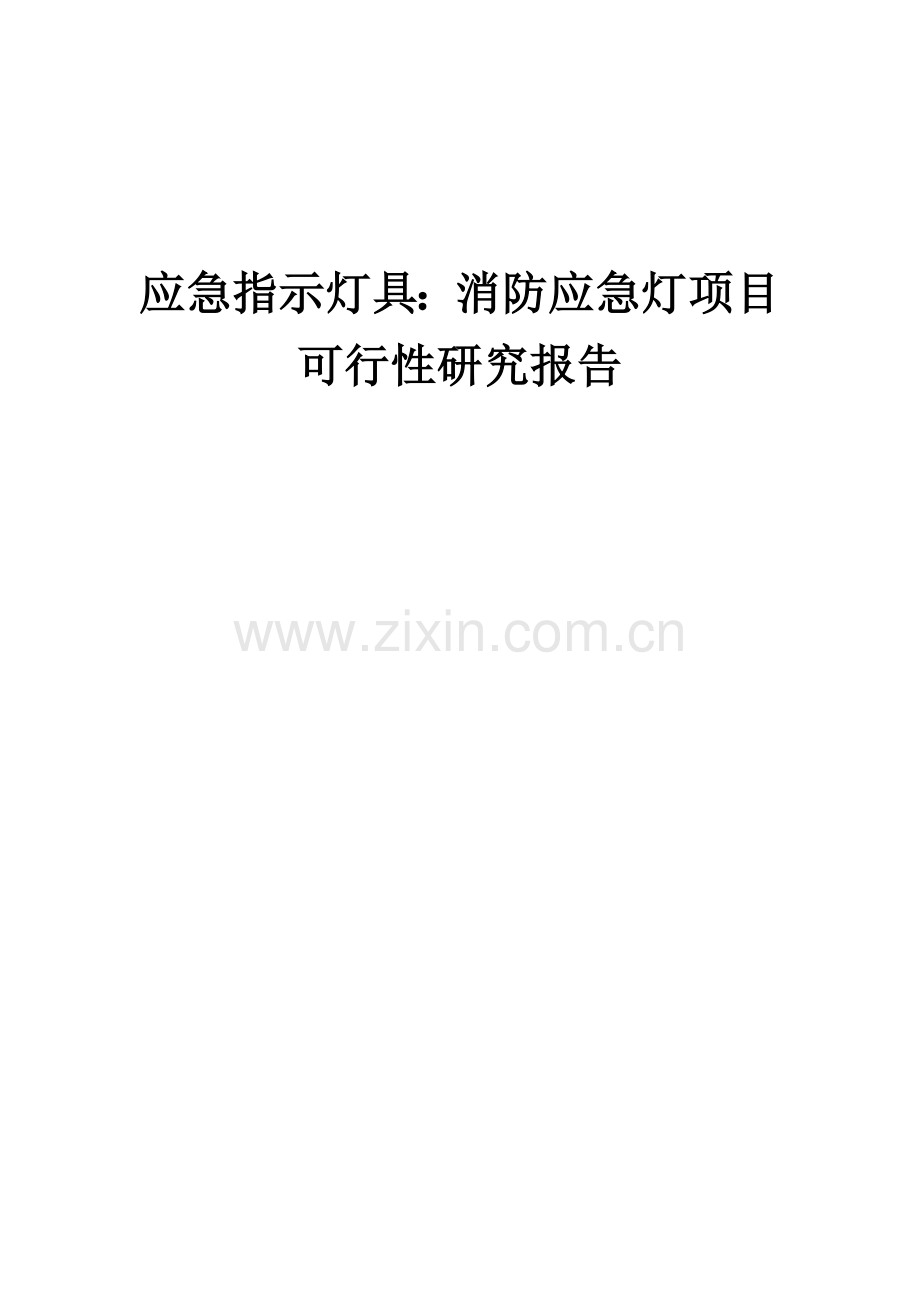 应急指示灯具：消防应急灯项目可行性研究报告.docx_第1页