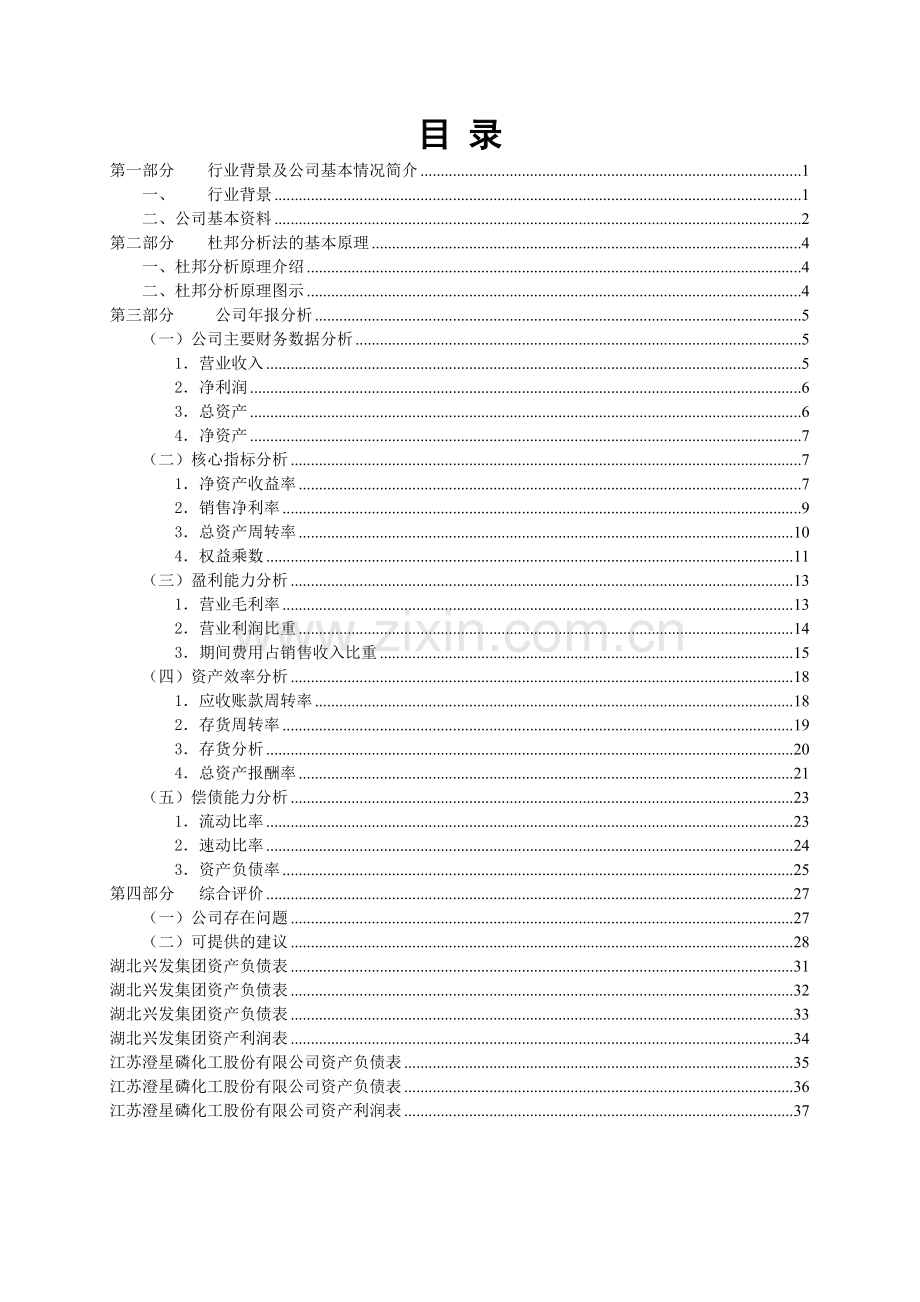 某农业公司财务报表分析报告.docx_第2页