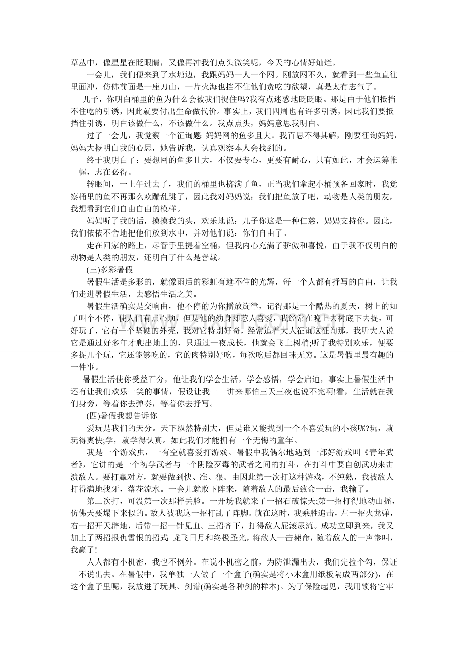 关于暑假趣事的作文(8篇).doc_第2页