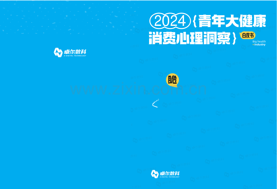 2024青年大健康消费心理洞察白皮书.pdf_第1页