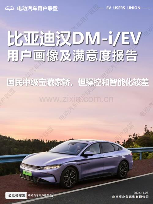 比亚迪汉EV+DM-i用户画像及满意度报告.pdf