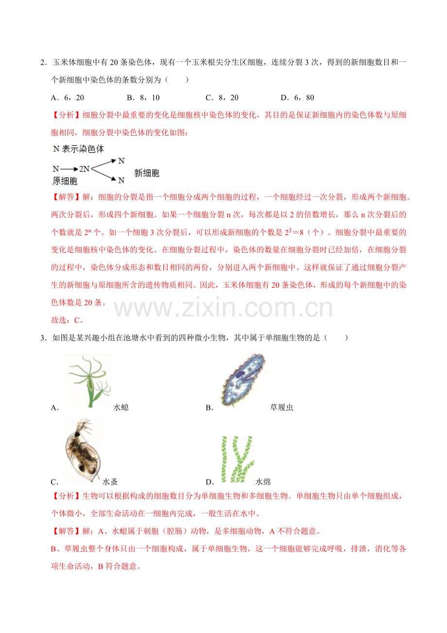 第三章--从细胞到生物体【B卷-培优卷】解析版-2024-2025学年山西专用七年级生物练习.pdf_第2页