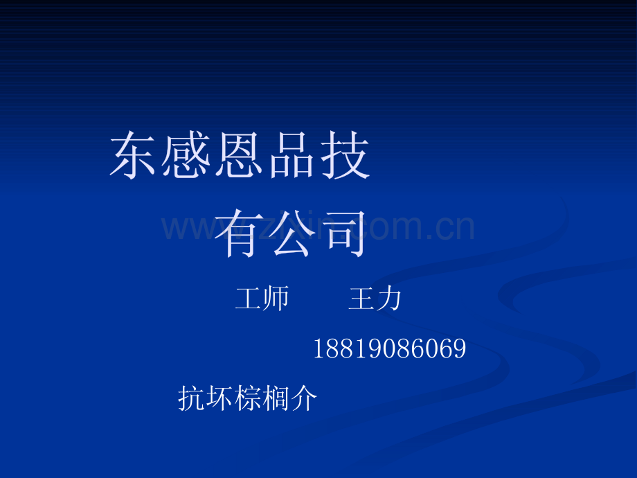 东莞感恩食品科技有限公司抗坏血酸棕榈酸酯介绍_24页.pdf_第1页